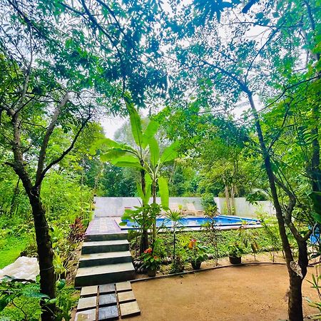 Gangadiya Lodge Сигирия Экстерьер фото